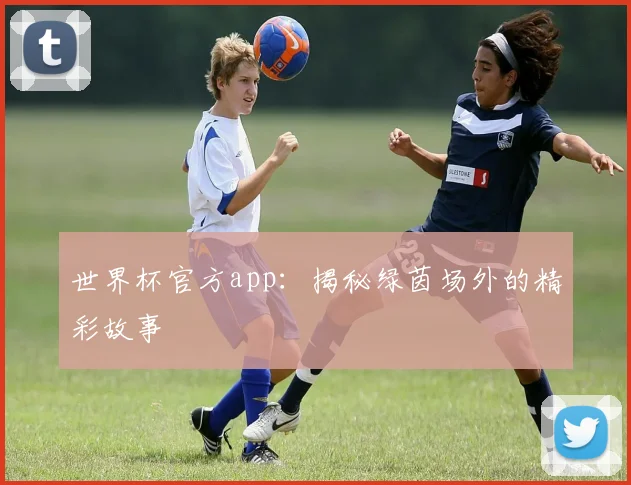 世界杯官方app：揭秘绿茵场外的精彩故事