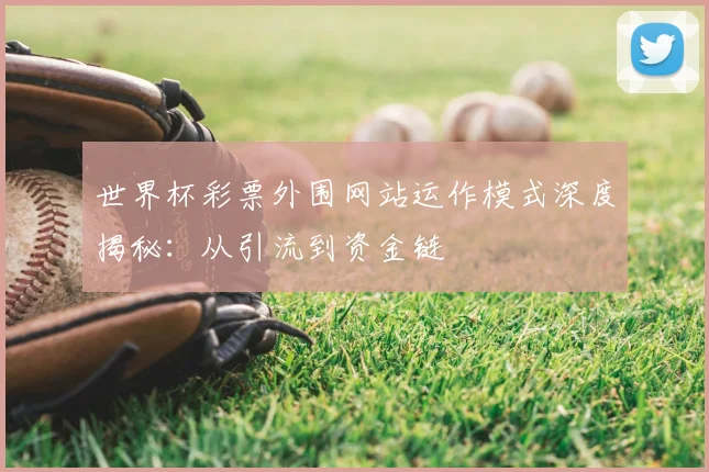 世界杯彩票外围网站运作模式深度揭秘:从引流到资金链