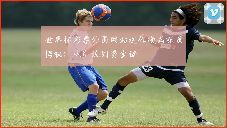 世界杯彩票外围网站运作模式深度揭秘:从引流到资金链