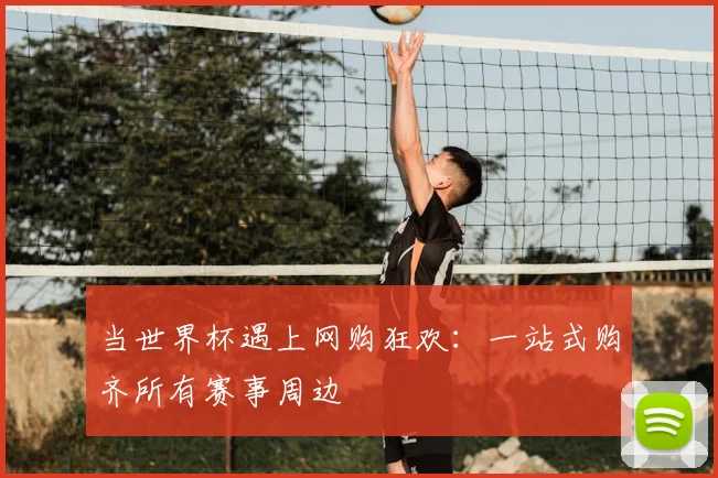 当世界杯遇上网购狂欢：一站式购齐所有赛事周边