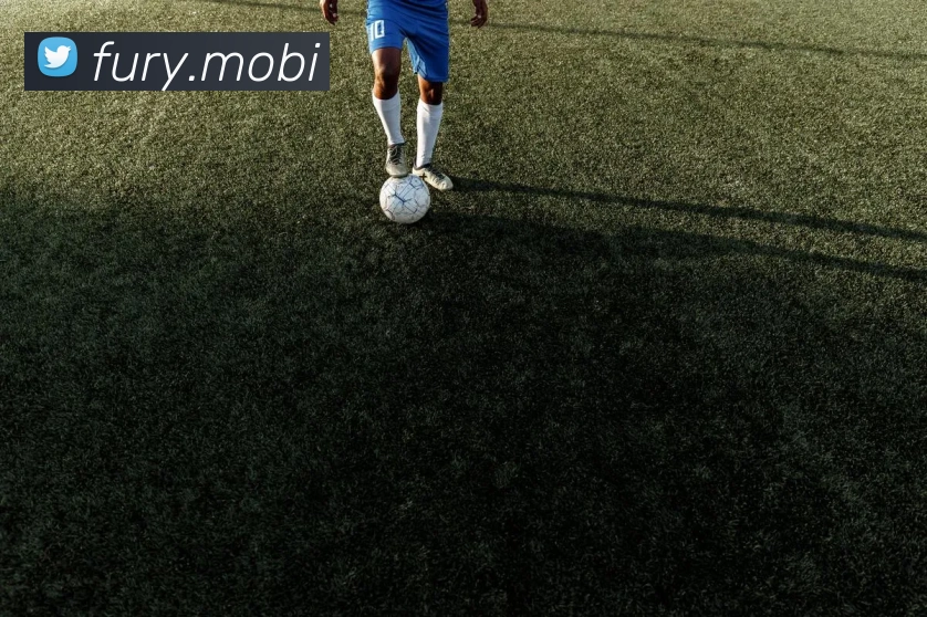 开运体育app官网入口下载官网发展历程